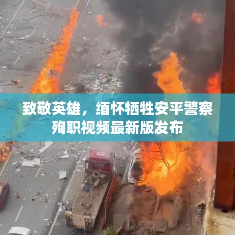 真独简贵