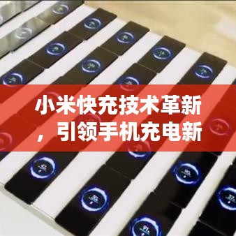 怀真抱素