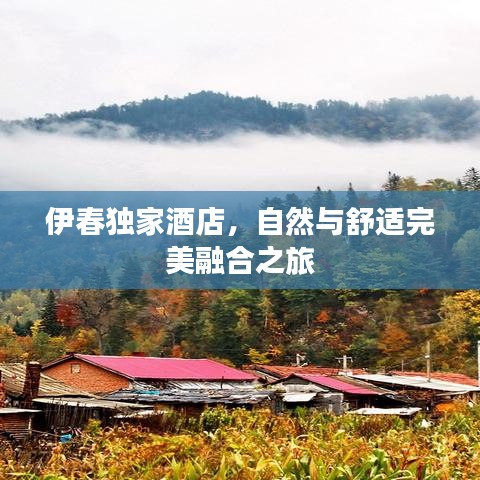 伊春独家酒店，自然与舒适完美融合之旅