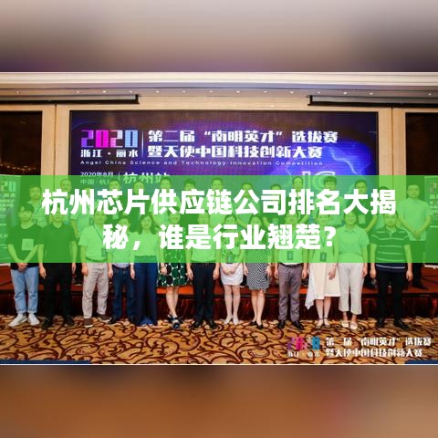 杭州芯片供应链公司排名大揭秘，谁是行业翘楚？