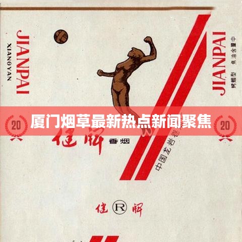 关于我们 第4页