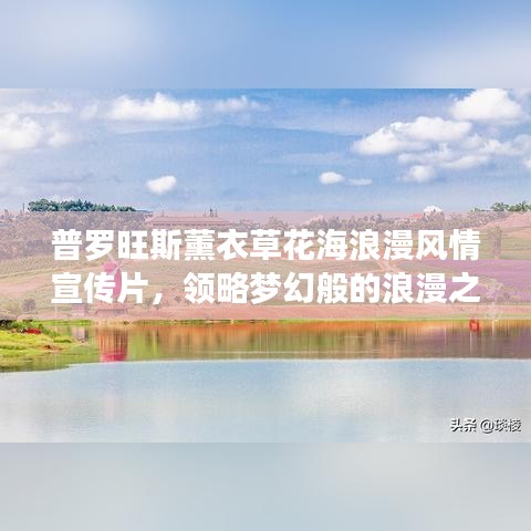 普罗旺斯薰衣草花海浪漫风情宣传片，领略梦幻般的浪漫之旅！